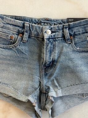 American Eagle Outfitters Light Blue Low-Rise Denim Shorts